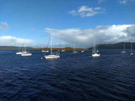 Boat Tour From Oban photograph 4