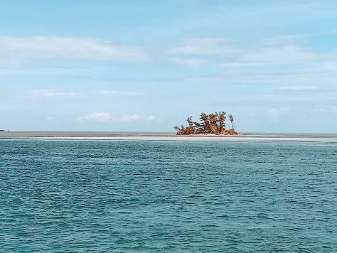 Bimini island And Cat CAYs. photograph 8